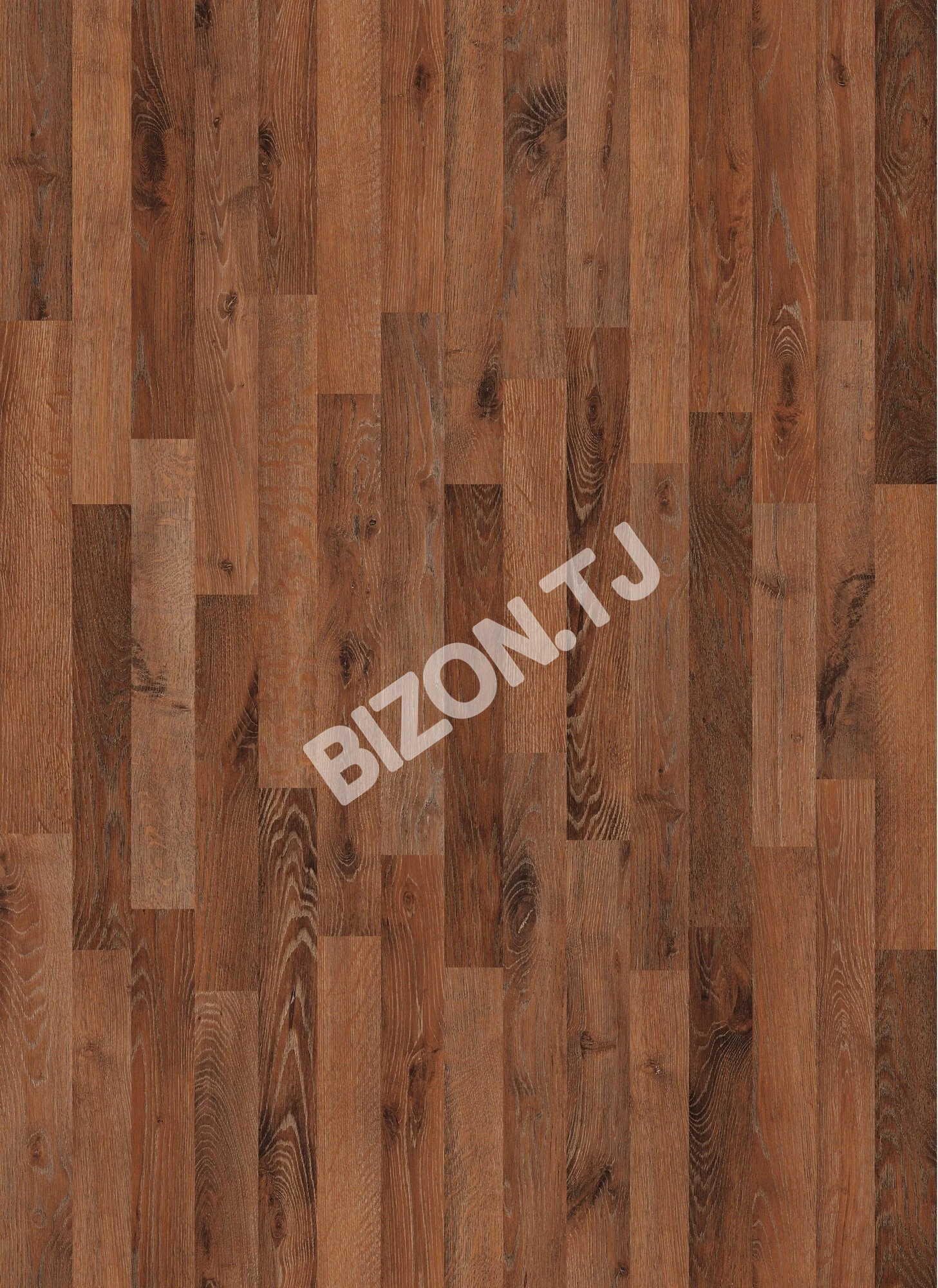 Ламинат KRONOSTAR PRIME LINE  ДУБ ШОТЛАНДСКИЙ D2982, 31 класс
