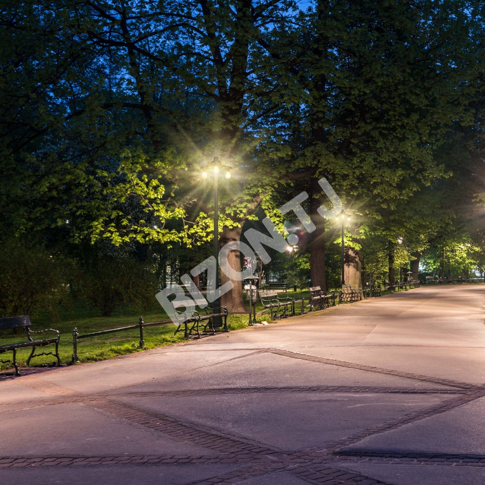 Светильник Парк.Светильник C0307 E27×3 Dark серый, 258-03016 4